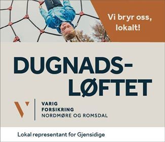 Dugnadsløftet gjensidige